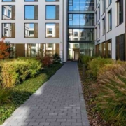 Überblick B-Lite Implantate
